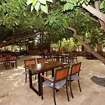 Cirali Hotel Otel Çıralı