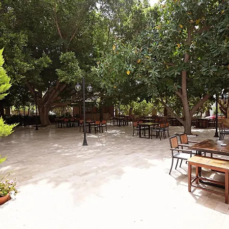 호텔 Cirali Hotel