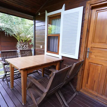 Cirali Hotel Hotel 3*