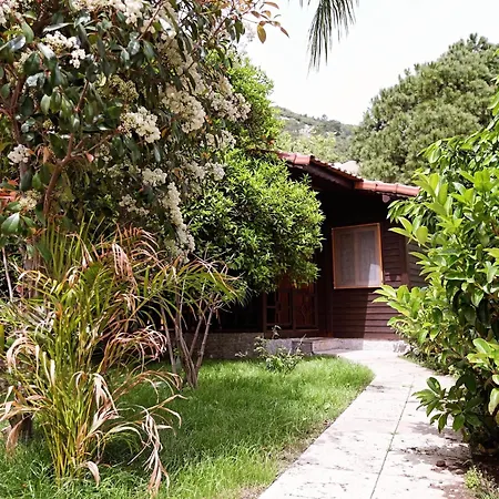 Ξενοδοχείο Cirali Hotel 3*