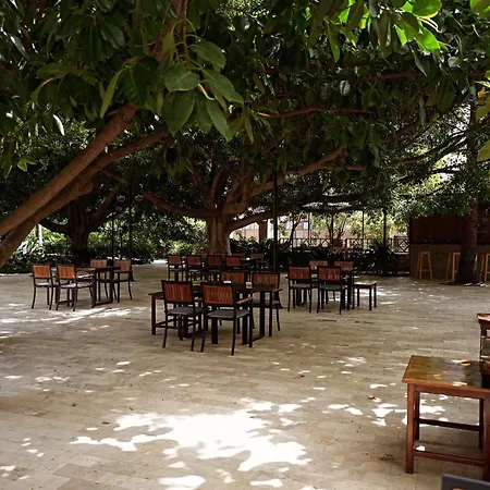 Cirali Hotel 3* Çıralı