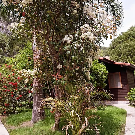 Cirali Hotel