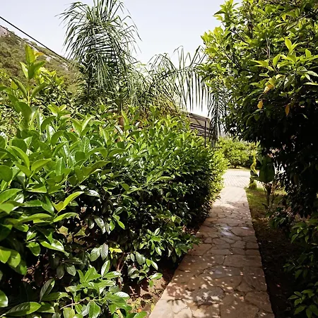 Ξενοδοχείο Cirali Hotel