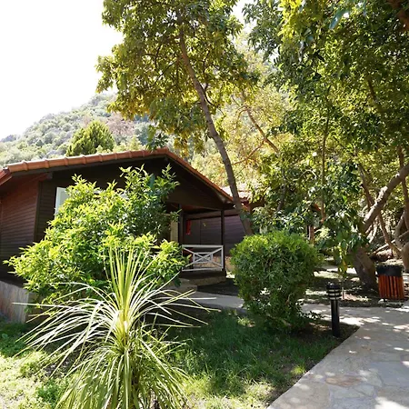 Ξενοδοχείο Cirali Hotel 3*