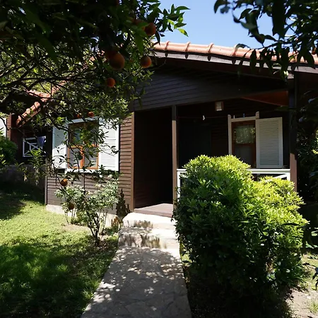 Cirali Hotel 3* Çıralı