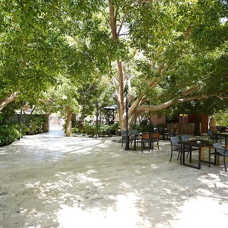 Cirali Hotel Ξενοδοχείο Çıralı