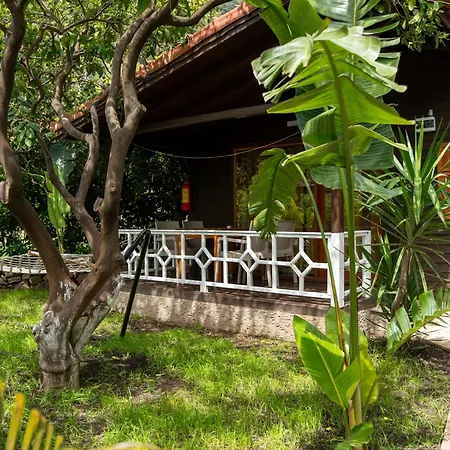Hotel Cirali Hotel
