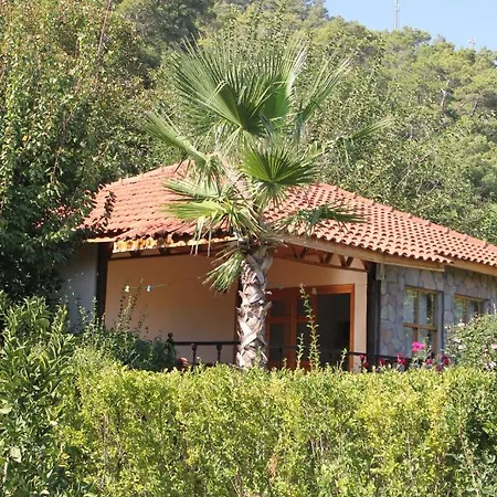 Cirali Hotel Hotel Çıralı