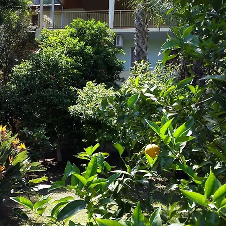 Ξενοδοχείο Cirali Hotel 3*