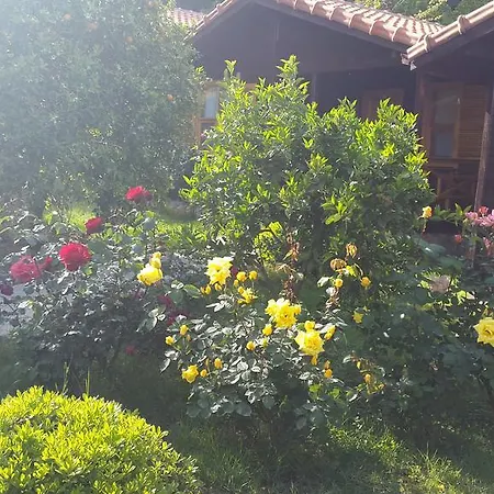 Cirali Hotel Çıralı