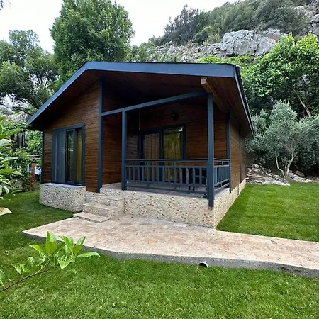 ホテル Cirali Hotel