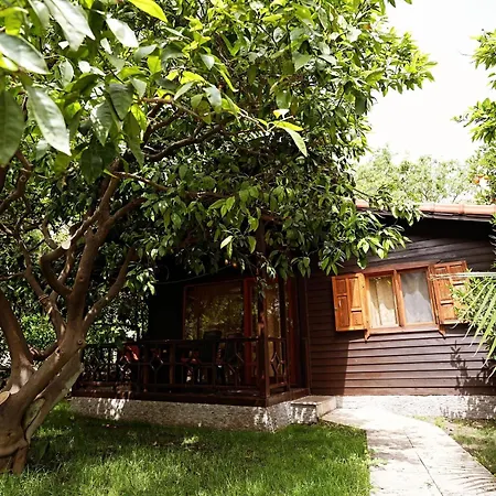 Cirali Hotel Hotel
