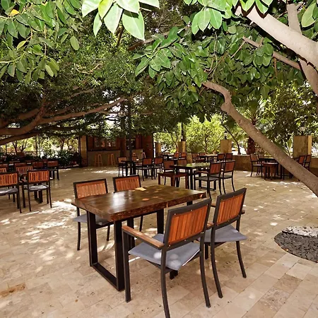 Cirali Hotel Szálloda Çıralı