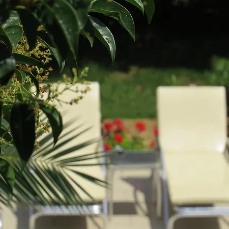 ホテル Cirali Hotel Çıralı