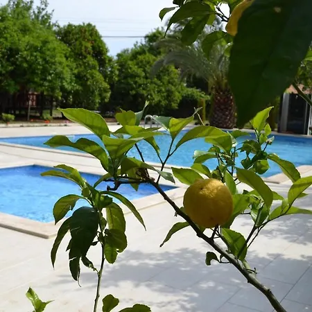 Szálloda Cirali Hotel 3*