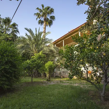 Cirali Hotel ホテル