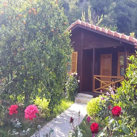 Cirali Hotel ホテル Çıralı